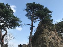 -大连天门山国家森林公园