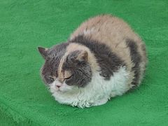 -福田卓悦INTOWN购物中心
