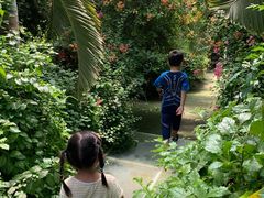 -呀路古热带植物园