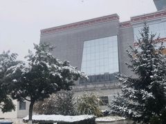 -青海藏文化博物院