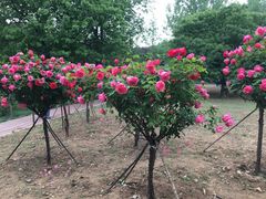 景点-西安秦岭野生动物园