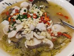 -丰食农家乐