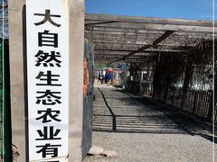 -大自然农场蔬菜草莓采摘园