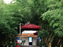 -三利音·浦之舟(滨江大道店)