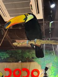 -Zoolung Zoolung动物主题公园(海信广场店)