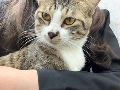 -玉椰林甜品店(创始店)