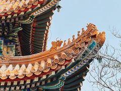 -雍和宫