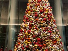 -TORY BURCH(海港城海洋中心店)