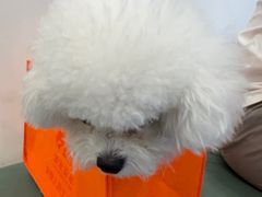 -全心全意动物诊疗中心医院(北苑店)