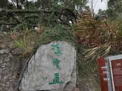 -梧桐山风景名胜区