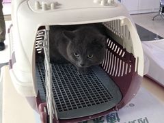 -宠颐生中康贝怡动物医院