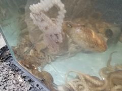 -鸿星花园酒家(银亿家园店)