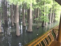 -采石矶景区