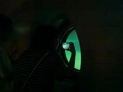 -白鹤梁水下博物馆