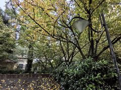 -木塔寺遗址生态公园