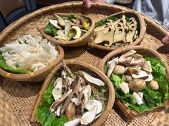 -滇野云南野生菌餐厅(陕西南路店)