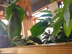 -草原塞蛮羊火锅城(港湾店)