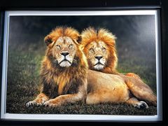 -罗红摄影艺术馆