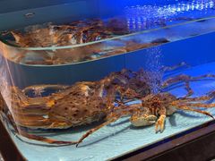 -阿伟海鲜楼·福建菜(延寿店)