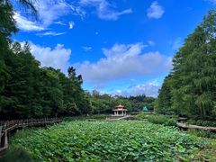 -深圳仙湖植物园