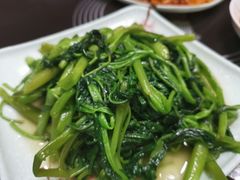 空心菜-良泉足疗