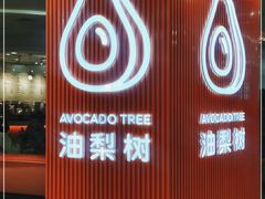 -油梨树 AVOCADO TREE(亮马桥店)