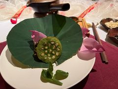 -叶叶菩提(太原别墅店)