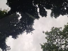 -人民公园(罗湖区)