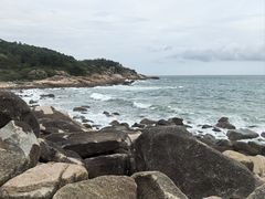 -广东惠东海龟国家级自然保护区