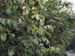 -北京邮电会议中心