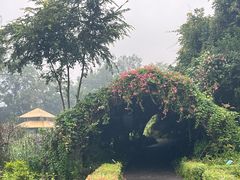 -广西壮族自治区药用植物园