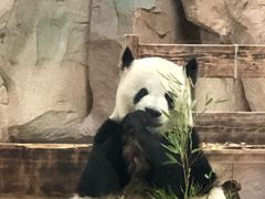 -无锡动物园·太湖欢乐园