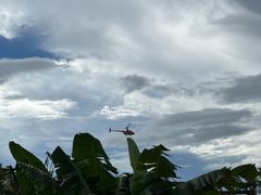 -江门古劳水乡旅游区