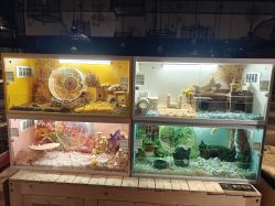 -造物庄园 萌宠纪(苏州湾歌林公园店)