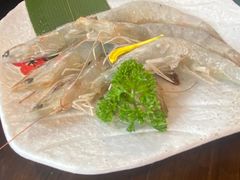 -道乐烧肉酒馆