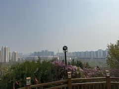 -南翠屏公园