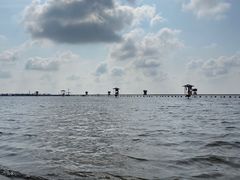 -碧海金沙