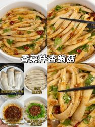 -Fundi张玉珊修身堂·indiba·BTL科技瘦身