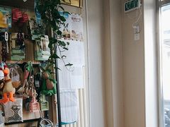 -中农大我爱我爱24h动物医院·中医针灸·猫专科·骨科医疗中心(双井店)