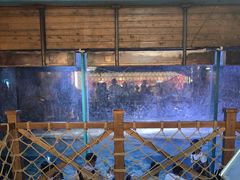 -海合安青岛极地海洋公园