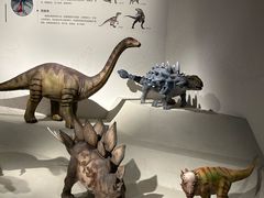 -自贡恐龙博物馆