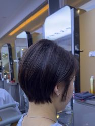 -藤野造型