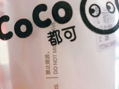 -CoCo都可(漫乐城店)