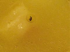 iphone_upload_pic-金枝玉叶上海人家食府(三里河店)