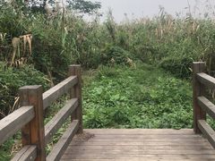 -同里国家湿地公园