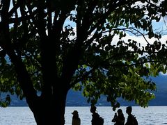 -小大董·烤鸭(观景餐厅·南京西路店)