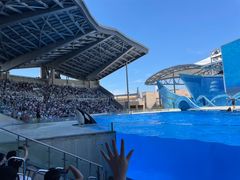 -上海海昌海洋公园