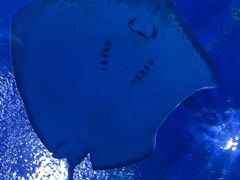 -上海海昌海洋公园