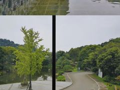 -知美术馆