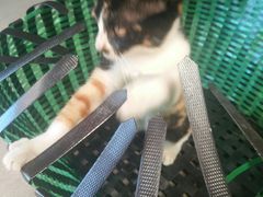 -星巴克(绍兴柯桥柯岩景区店)